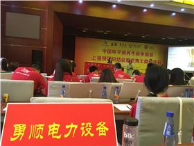 勇顺电气会议现场