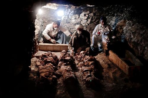 在埃及发现一座历史悠久的古墓，具有研究价值