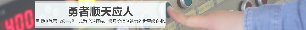 勇顺电气 勇顺电气