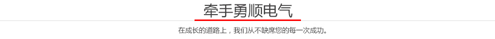 勇顺电气 勇顺电气